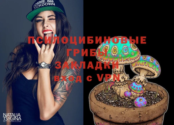 mix Арсеньев