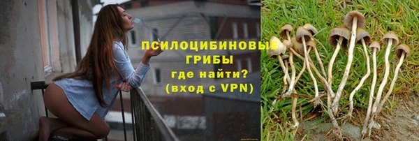 соль ск Аркадак