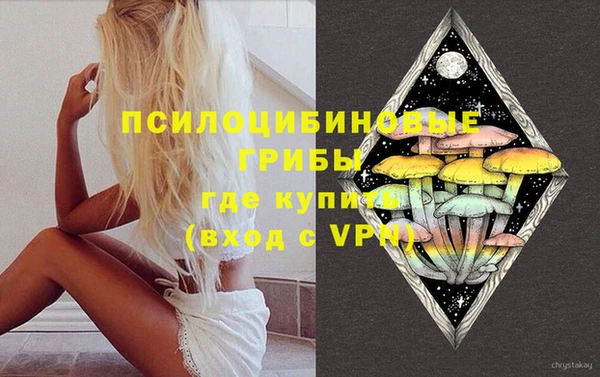 соль ск Аркадак